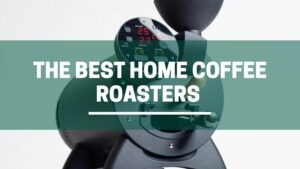 Green Pods beast home coffee roasters we recommend