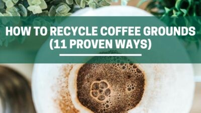 Green Pods how to recycle coffee grounds at home 11 proven methods